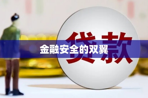 张店金融安全的双翼