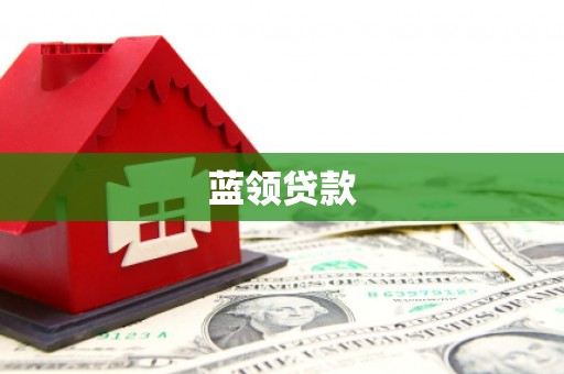 张店蓝领贷款
