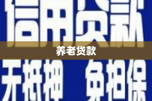 张店养老贷款