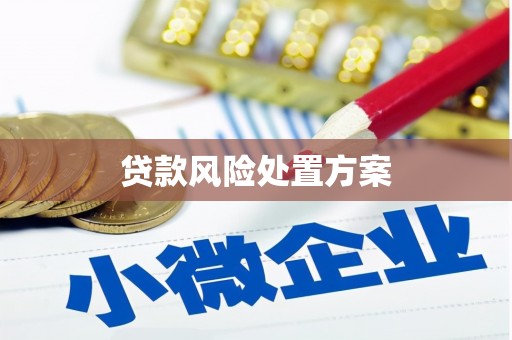 张店贷款风险处置方案