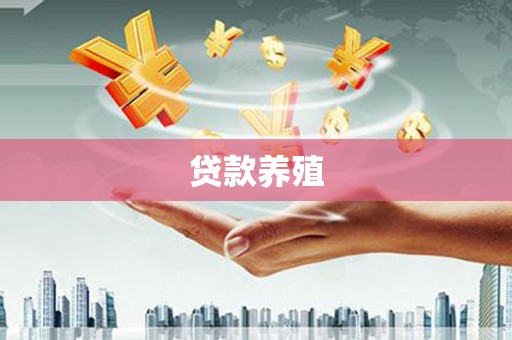 张店贷款养殖