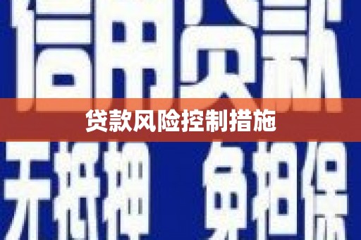 张店贷款风险控制措施