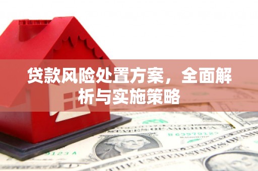 张店贷款风险处置方案，全面解析与实施策略