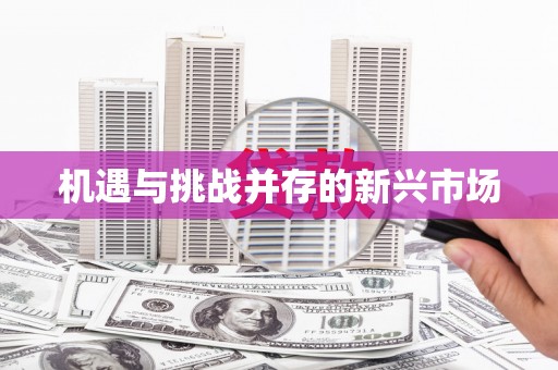 张店机遇与挑战并存的新兴市场