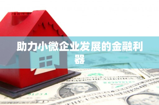 张店助力小微企业发展的金融利器