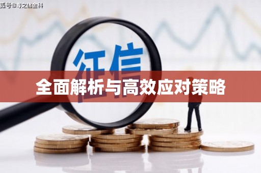 张店全面解析与高效应对策略