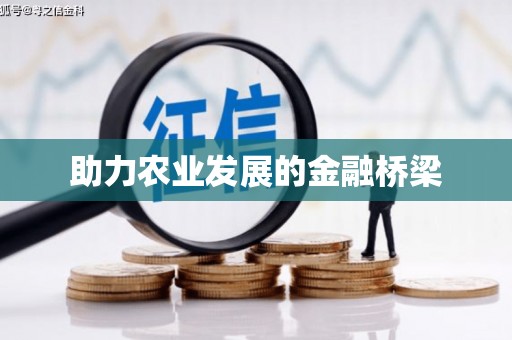 张店助力农业发展的金融桥梁