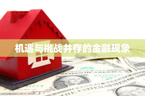 张店机遇与挑战并存的金融现象