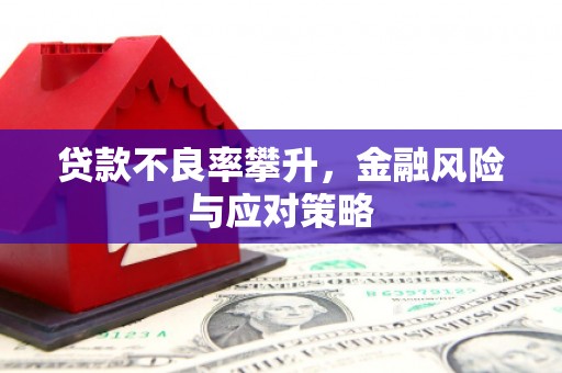 张店贷款不良率攀升，金融风险与应对策略